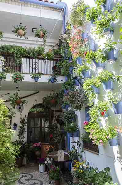Córdoba 178 - barrio san Basilio - Patios del Alcazar Viejo - calle Martin de Roa 2.jpg